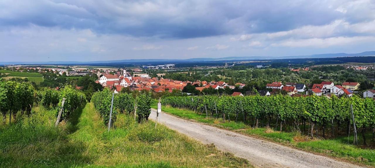 Ferienwohnung Fackelmann Dettelbach Exteriér fotografie